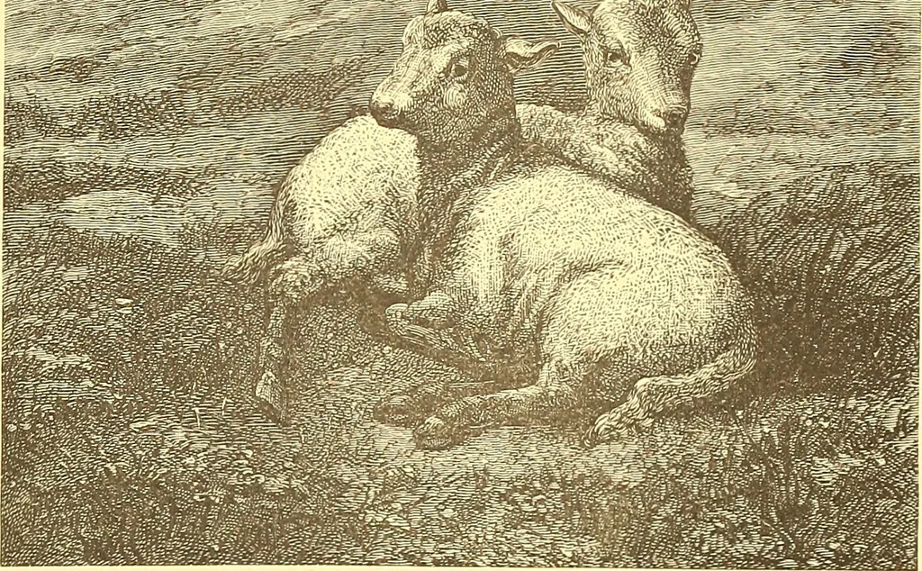 An illustration from American art and American art collections; essays on artistic subjects, 1889, leaf 112