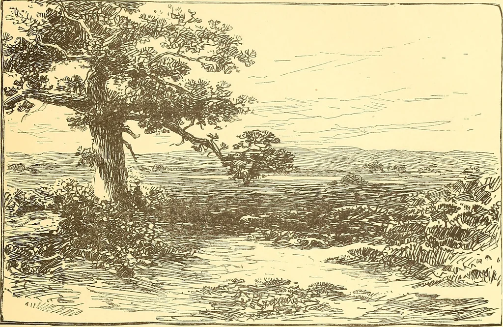 An illustration from American art and American art collections; essays on artistic subjects, 1889, leaf 148
