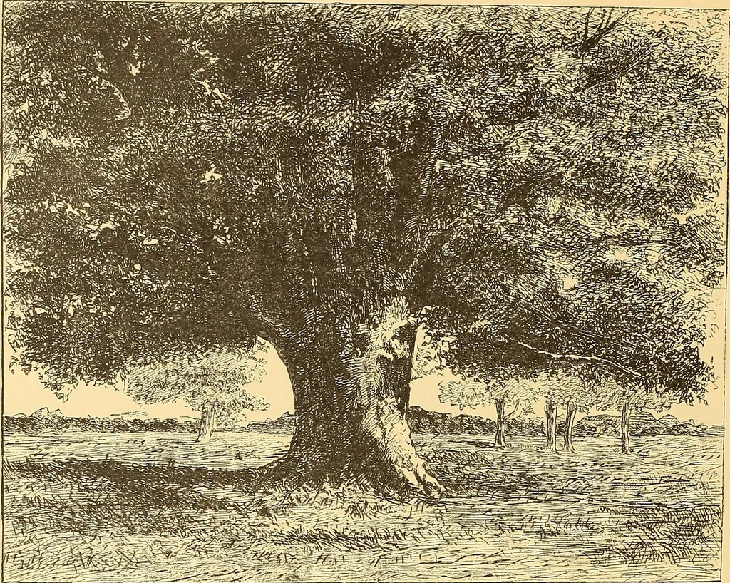 An illustration from American art and American art collections; essays on artistic subjects, 1889, leaf 149