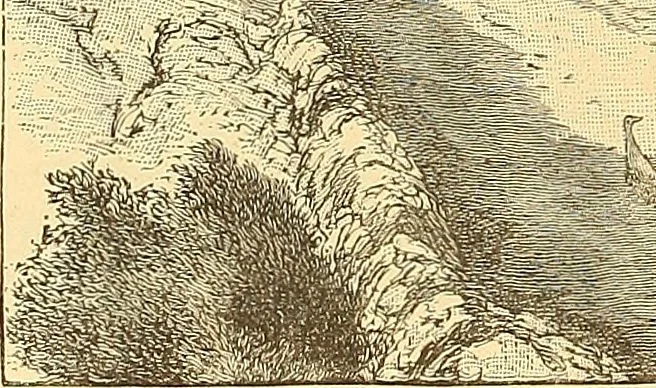 An illustration from American art and American art collections; essays on artistic subjects, 1889, leaf 165