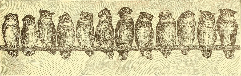 An illustration from American art and American art collections; essays on artistic subjects, 1889, leaf 180