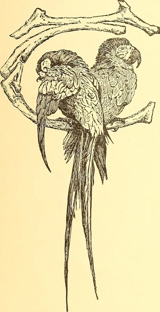 An illustration from American art and American art collections; essays on artistic subjects, 1889, leaf 180