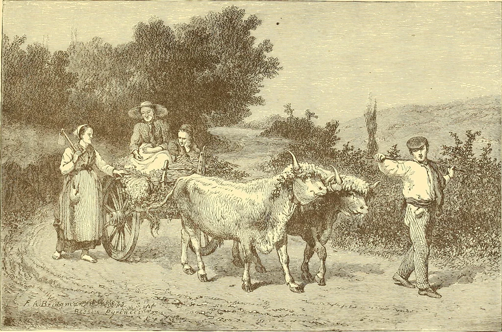 An illustration from American art and American art collections; essays on artistic subjects, 1889, leaf 218