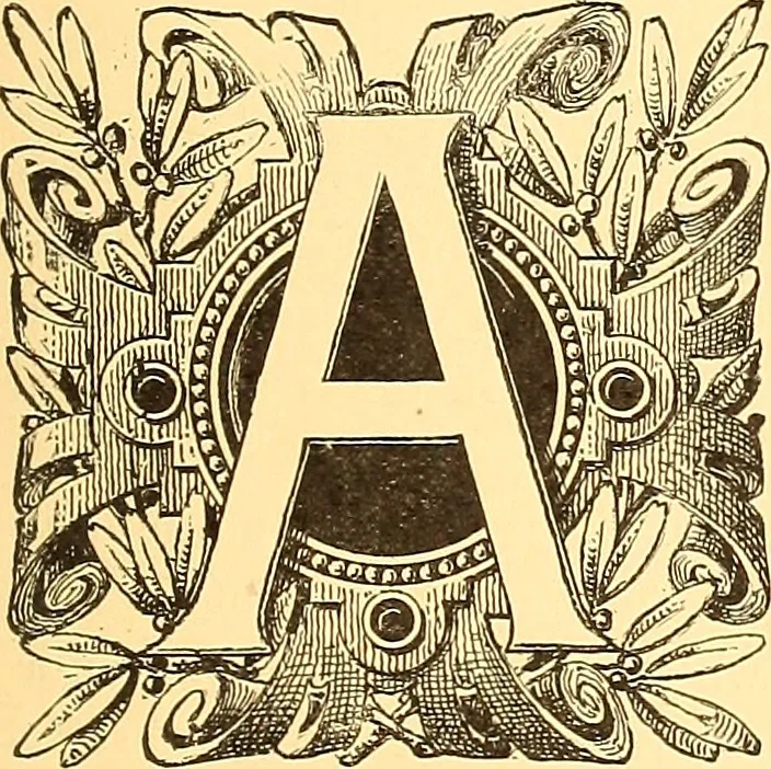 An illustration from American art and American art collections; essays on artistic subjects, 1889, leaf 22