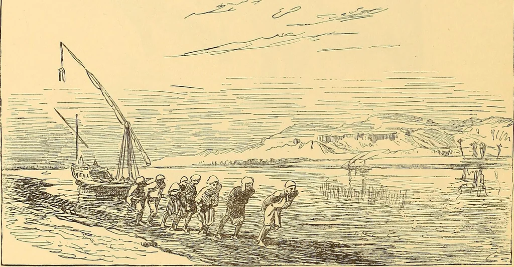 An illustration from American art and American art collections; essays on artistic subjects, 1889, leaf 231