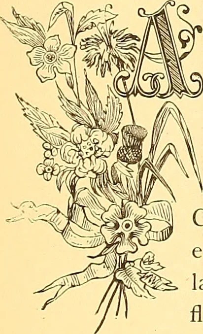 An illustration from American art and American art collections; essays on artistic subjects, 1889, leaf 238