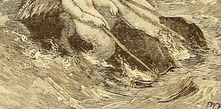 An illustration from American art and American art collections; essays on artistic subjects, 1889, leaf 253