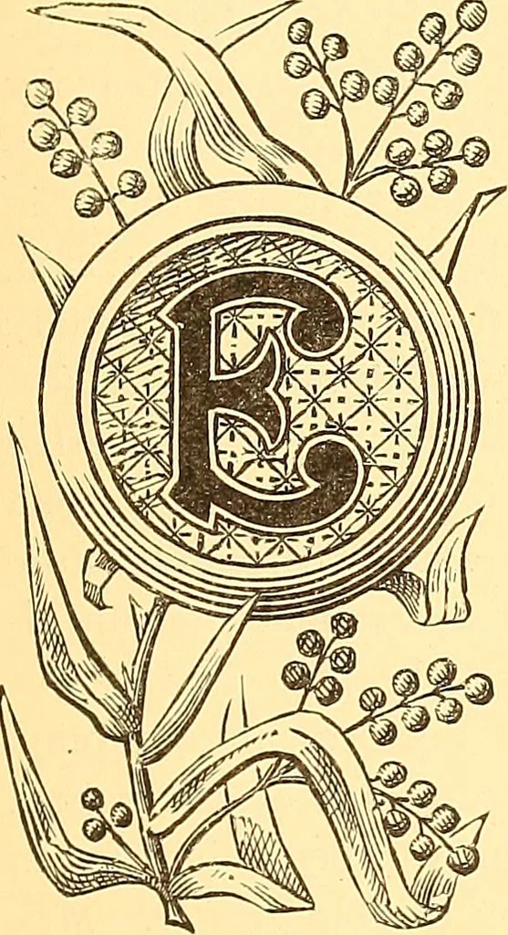 An illustration from American art and American art collections; essays on artistic subjects, 1889, leaf 286