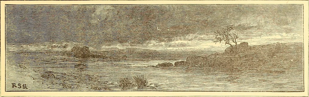 An illustration from American art and American art collections; essays on artistic subjects, 1889, leaf 298