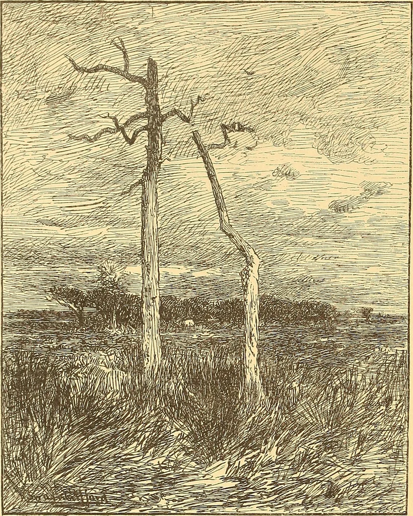 An illustration from American art and American art collections; essays on artistic subjects, 1889, leaf 305