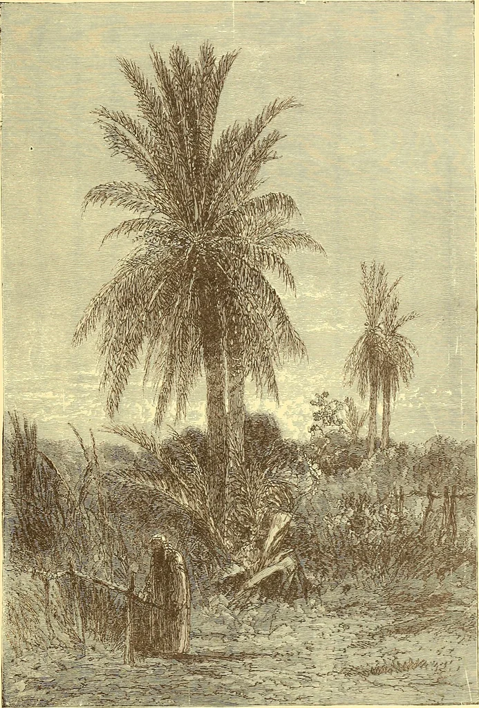 An illustration from American art and American art collections; essays on artistic subjects, 1889, leaf 306