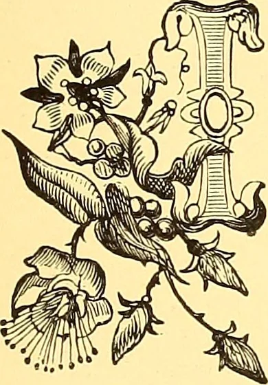 An illustration from American art and American art collections; essays on artistic subjects, 1889, leaf 308