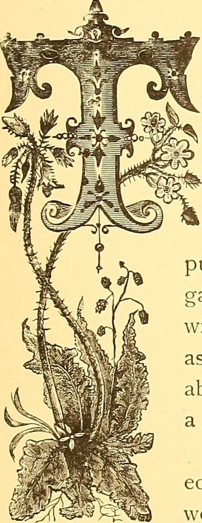 An illustration from American art and American art collections; essays on artistic subjects, 1889, leaf 318