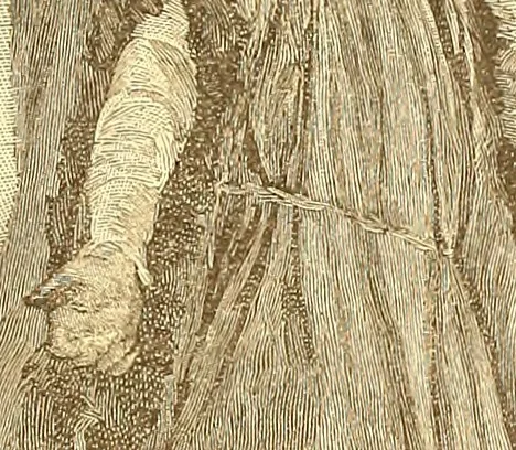 An illustration from American art and American art collections; essays on artistic subjects, 1889, leaf 322