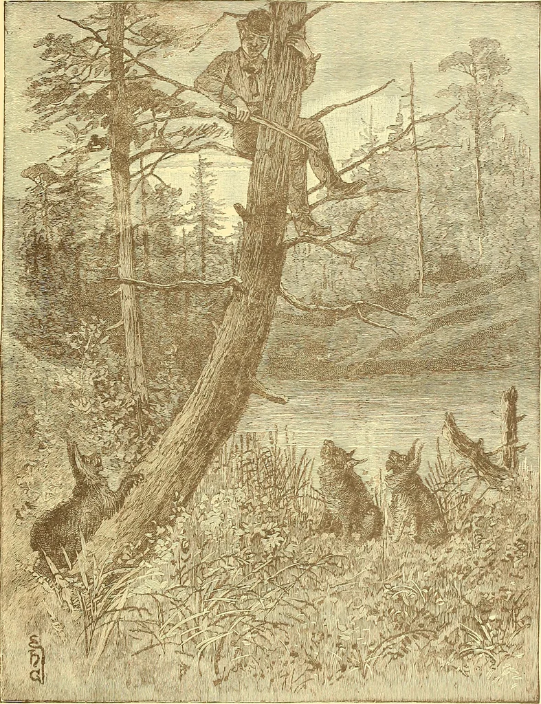 An illustration from American art and American art collections; essays on artistic subjects, 1889, leaf 326