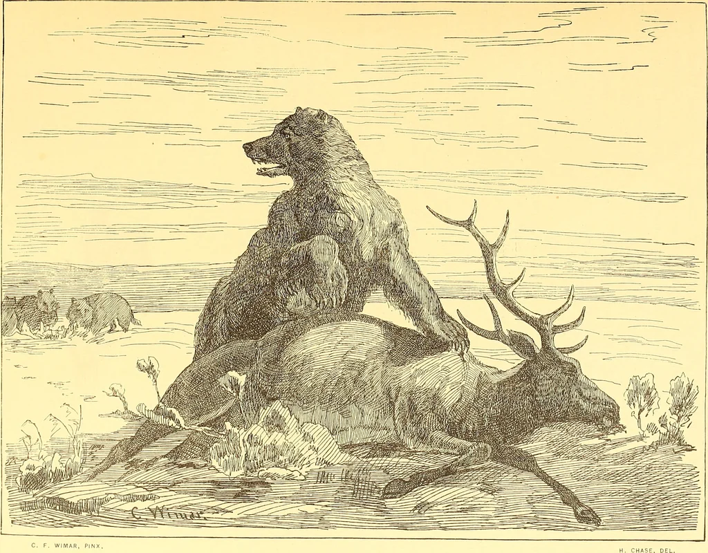 An illustration from American art and American art collections; essays on artistic subjects, 1889, leaf 350