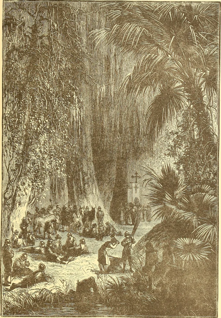 An illustration from American art and American art collections; essays on artistic subjects, 1889, leaf 356