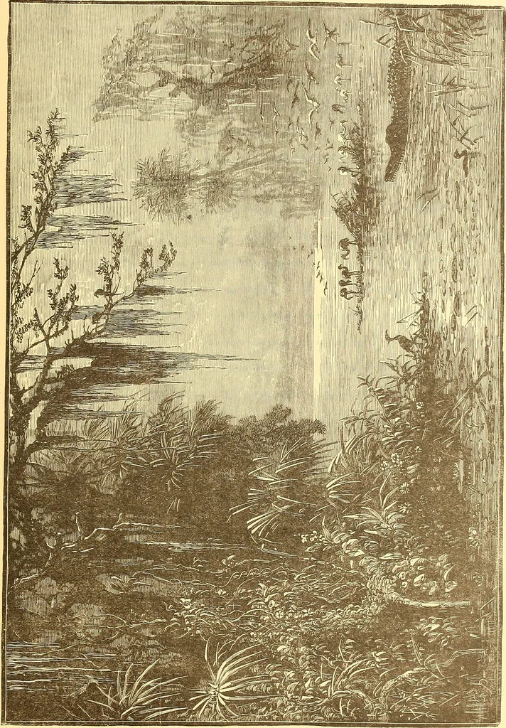 An illustration from American art and American art collections; essays on artistic subjects, 1889, leaf 360