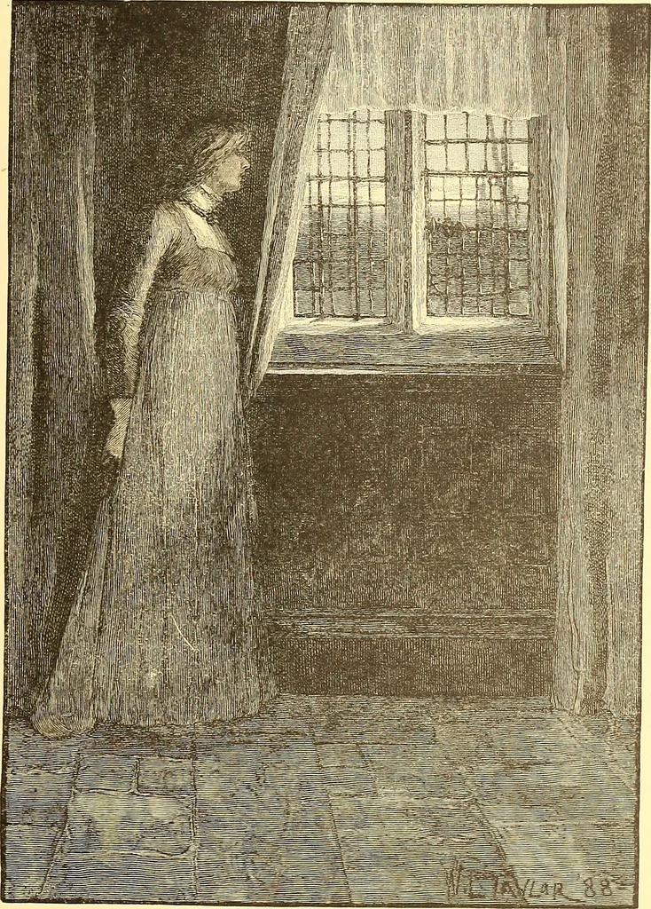 An illustration from American art and American art collections; essays on artistic subjects, 1889, leaf 382