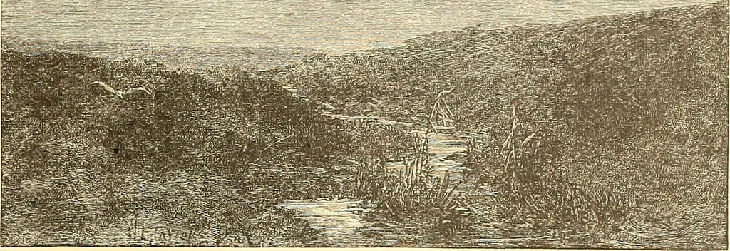 An illustration from American art and American art collections; essays on artistic subjects, 1889, leaf 384