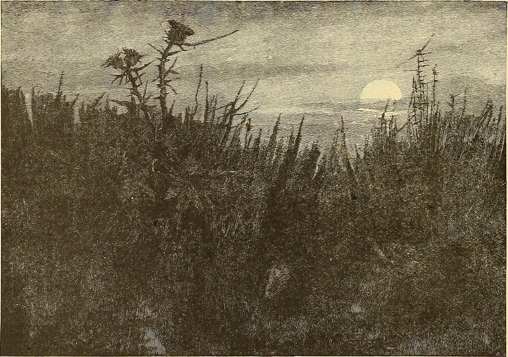 An illustration from American art and American art collections; essays on artistic subjects, 1889, leaf 391