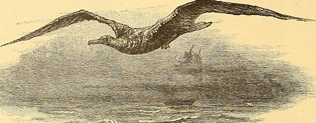An illustration from American art and American art collections; essays on artistic subjects, 1889, leaf 405