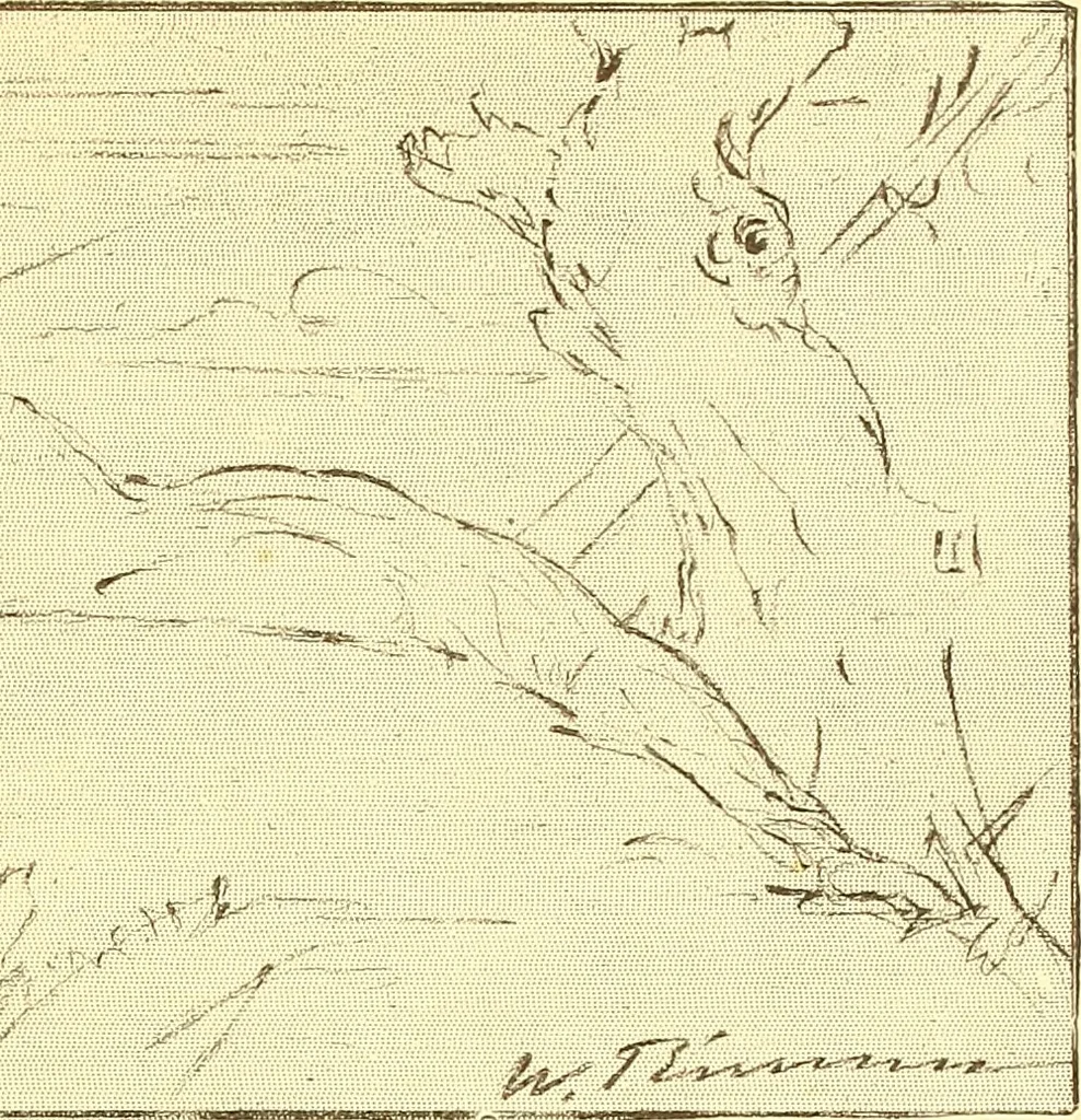An illustration from American art and American art collections; essays on artistic subjects, 1889, leaf 422