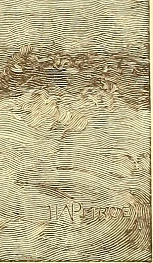 An illustration from American art and American art collections; essays on artistic subjects, 1889, leaf 468