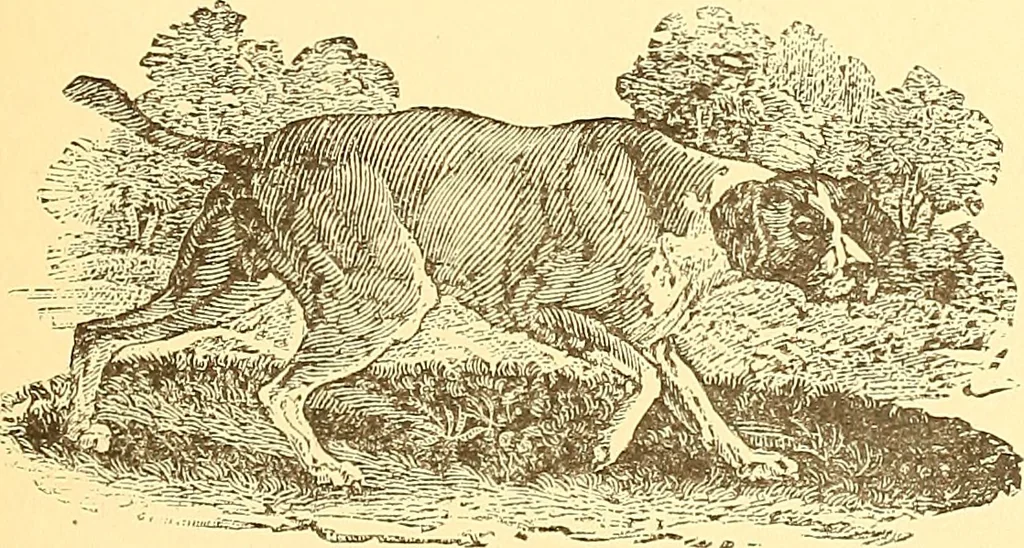 An illustration from American art and American art collections; essays on artistic subjects, 1889, leaf 504