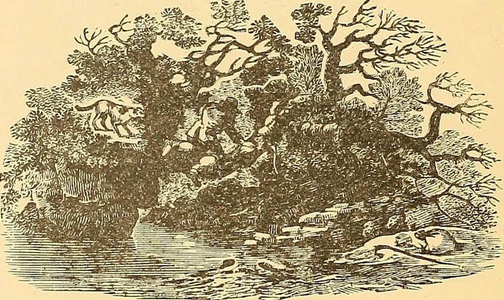 An illustration from American art and American art collections; essays on artistic subjects, 1889, leaf 511