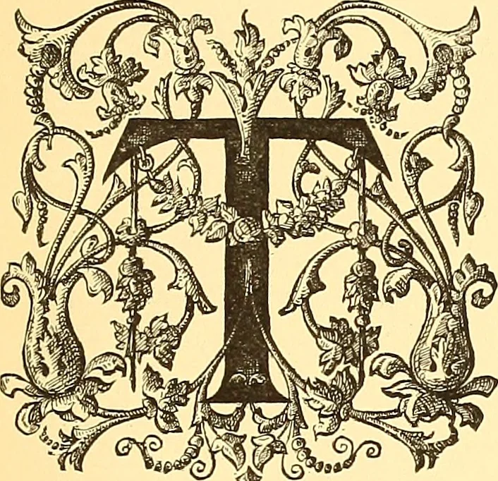 An illustration from American art and American art collections; essays on artistic subjects, 1889, leaf 516