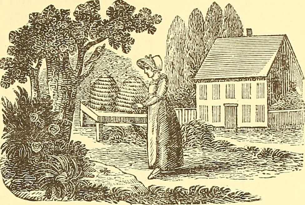 An illustration from American art and American art collections; essays on artistic subjects, 1889, leaf 520