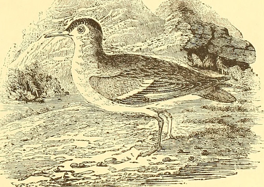 An illustration from American art and American art collections; essays on artistic subjects, 1889, leaf 536