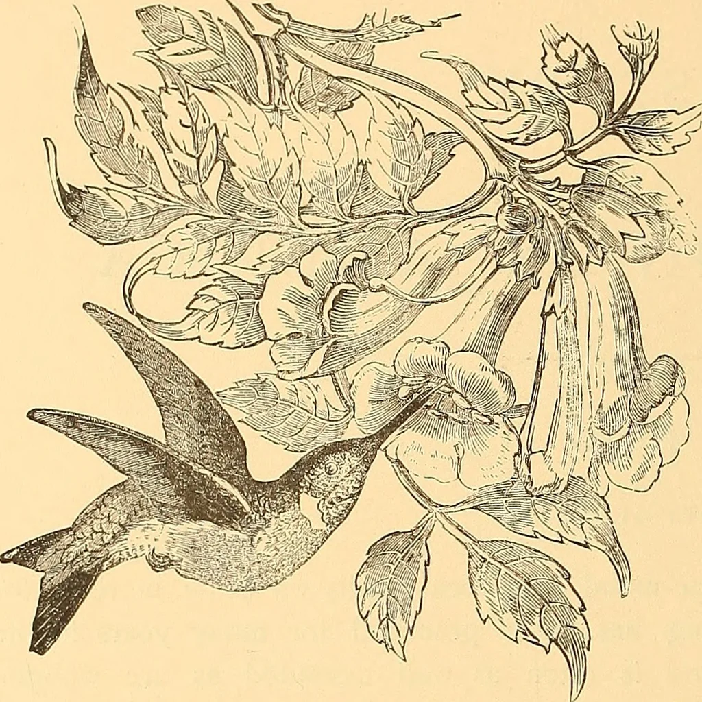 An illustration from American art and American art collections; essays on artistic subjects, 1889, leaf 537