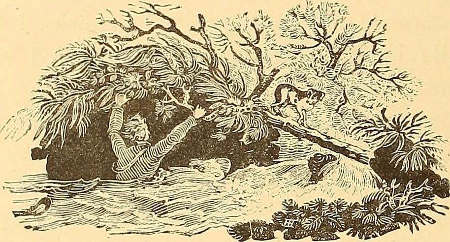 An illustration from American art and American art collections; essays on artistic subjects, 1889, leaf 537
