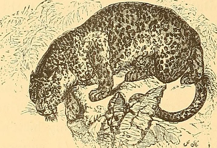 An illustration from American art and American art collections; essays on artistic subjects, 1889, leaf 537
