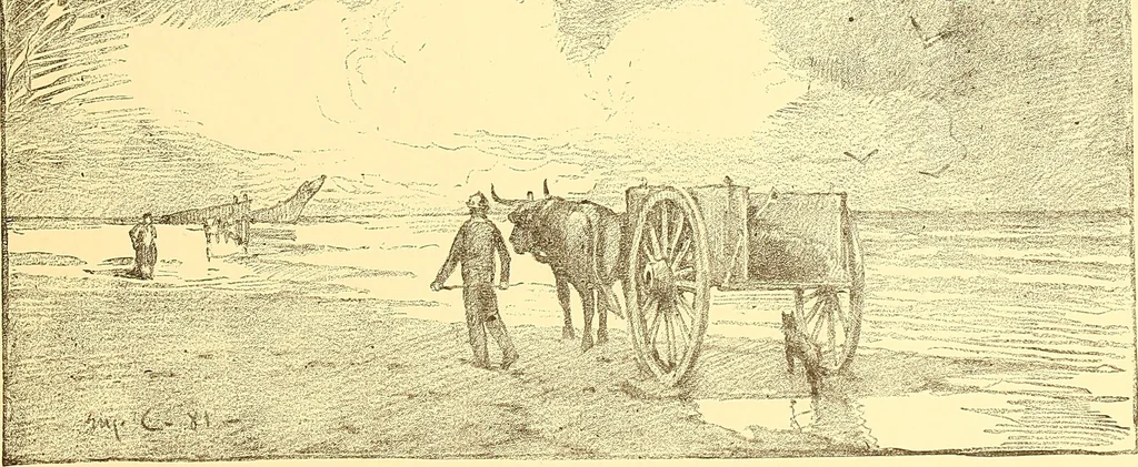 An illustration from American art and American art collections; essays on artistic subjects, 1889, leaf 546