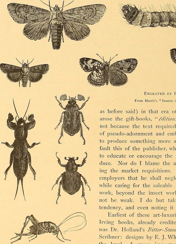 An illustration from American art and American art collections; essays on artistic subjects, 1889, leaf 577