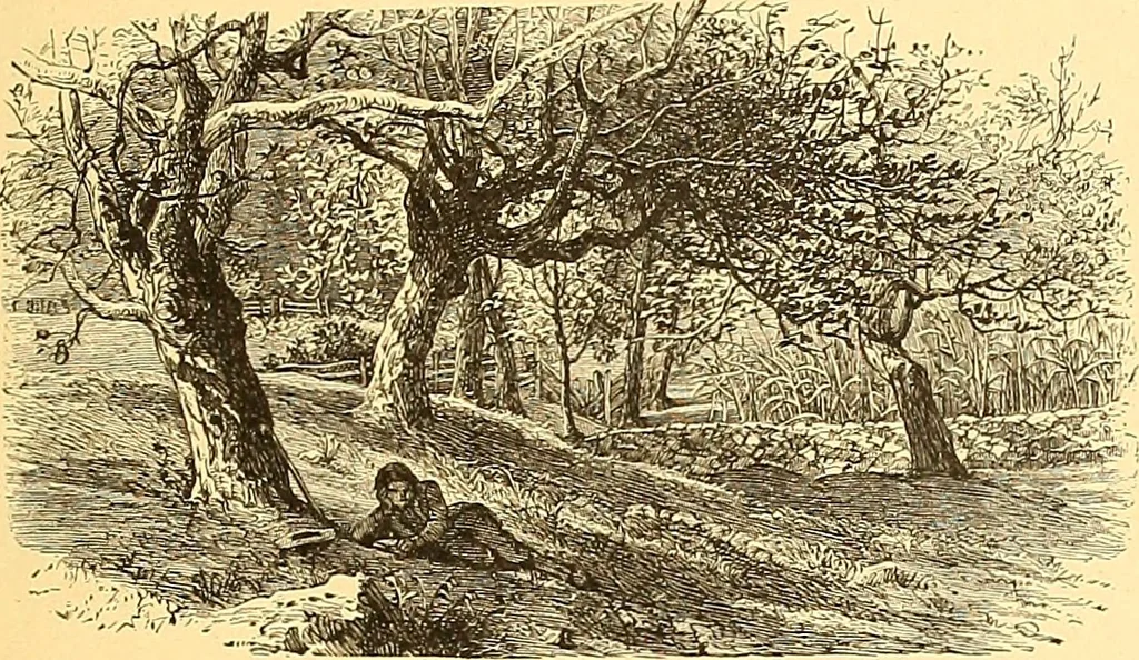 An illustration from American art and American art collections; essays on artistic subjects, 1889, leaf 580