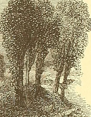 An illustration from American art and American art collections; essays on artistic subjects, 1889, leaf 602