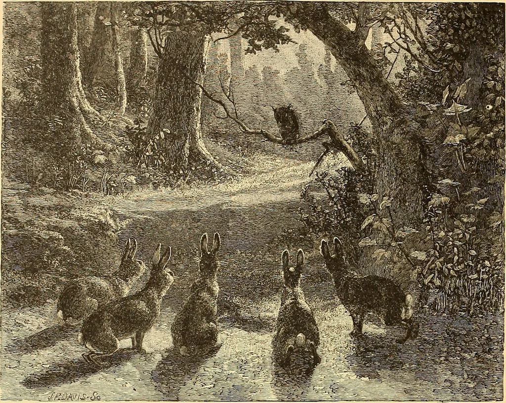 An illustration from American art and American art collections; essays on artistic subjects, 1889, leaf 611
