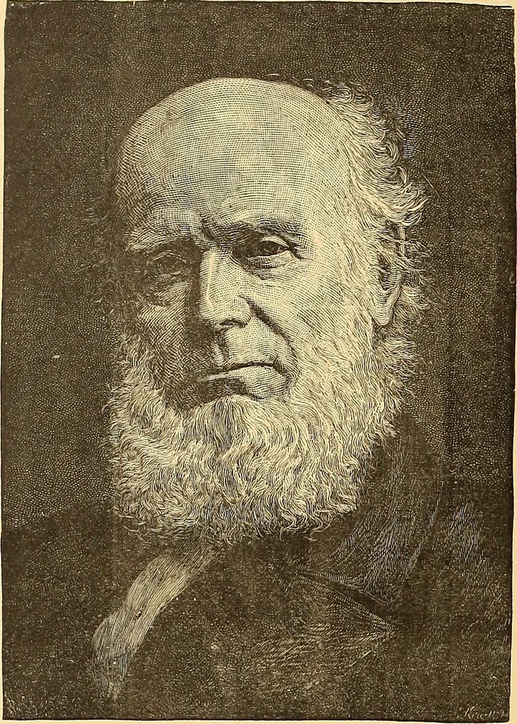 An illustration from American art and American art collections; essays on artistic subjects, 1889, leaf 629