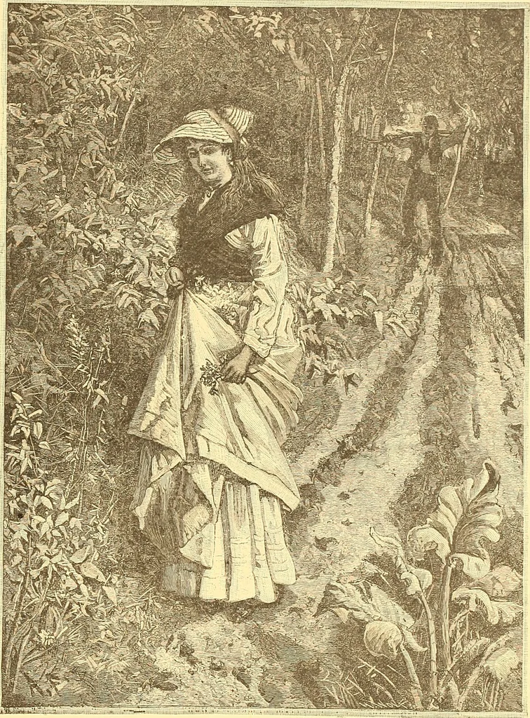An illustration from American art and American art collections; essays on artistic subjects, 1889, leaf 642