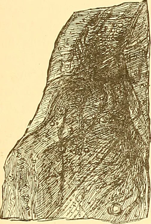 An illustration from American art and American art collections; essays on artistic subjects, 1889, leaf 100