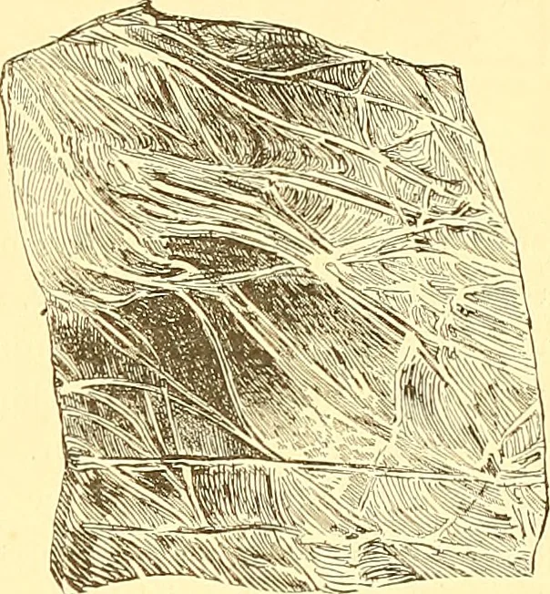 An illustration from American art and American art collections; essays on artistic subjects, 1889, leaf 100