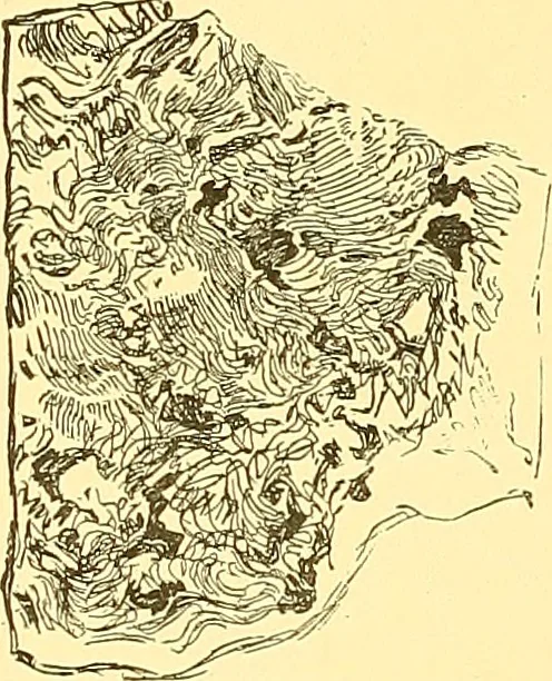 An illustration from American art and American art collections; essays on artistic subjects, 1889, leaf 105