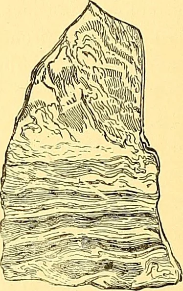 An illustration from American art and American art collections; essays on artistic subjects, 1889, leaf 105