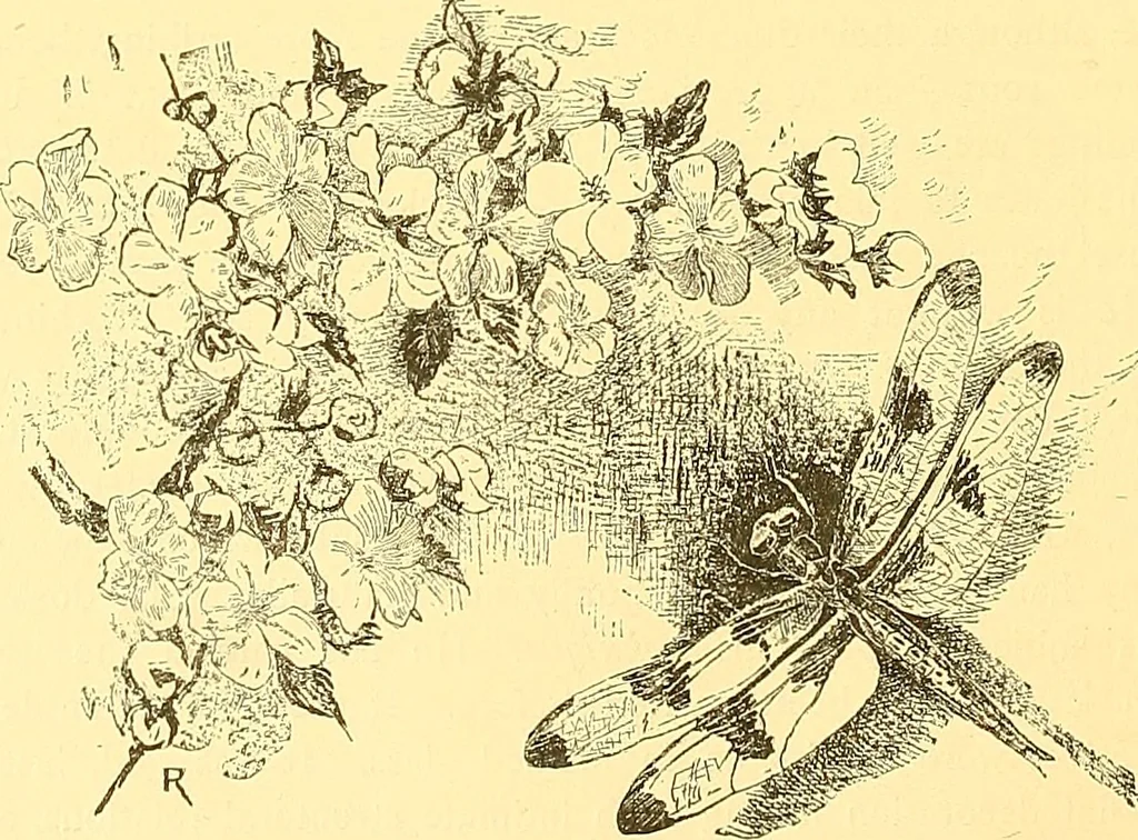 An illustration from American art and American art collections; essays on artistic subjects, 1889, leaf 111