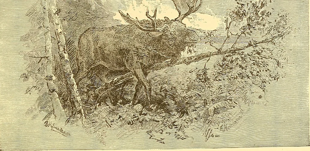 An illustration from American art and American art collections; essays on artistic subjects, 1889, leaf 120