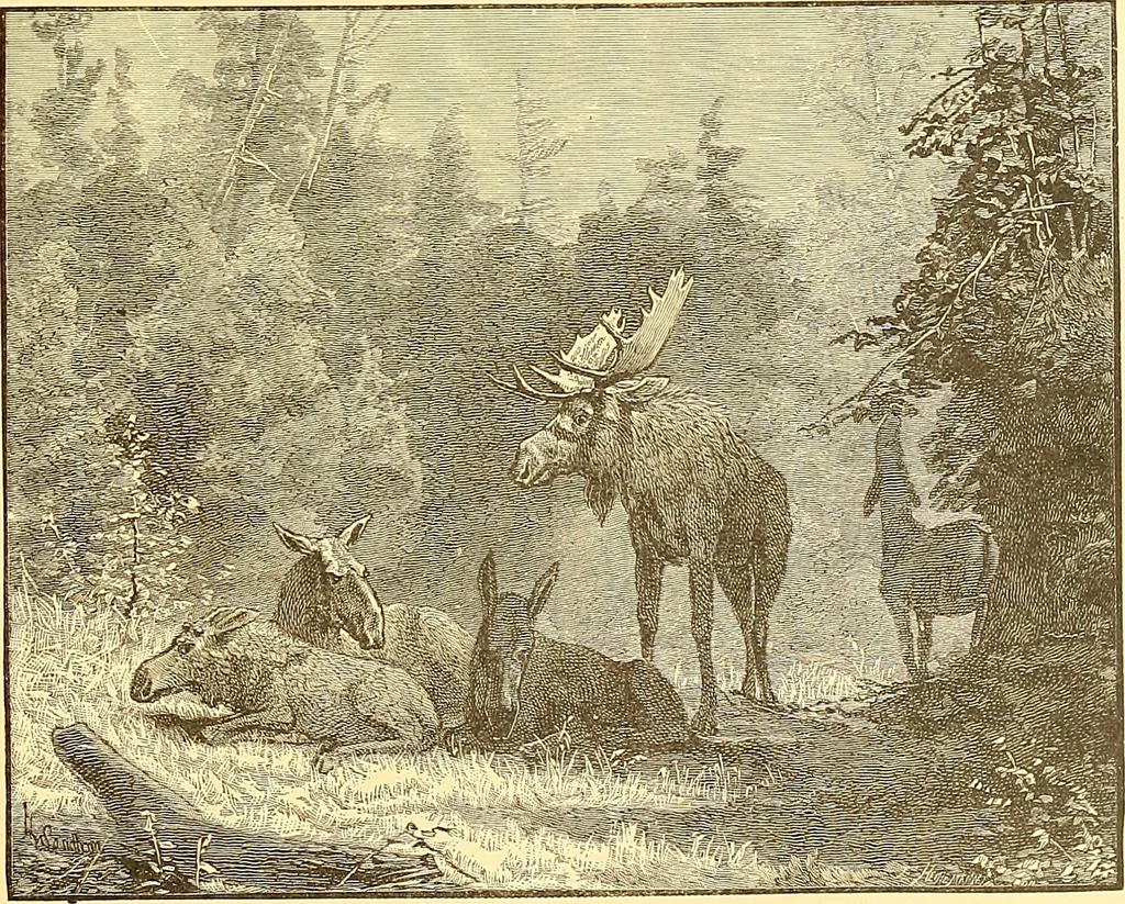 An illustration from American art and American art collections; essays on artistic subjects, 1889, leaf 120
